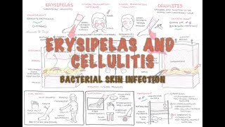 Signs and Symptoms of Infection [upl. by Assiral415]