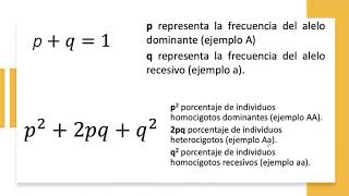 Equilibrio Hardy Weinberg Frecuencias [upl. by Isidoro506]