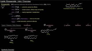 Eicosanoids  Intro  Overview free sample [upl. by Mike]