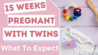 15 Weeks Pregnant with Twins What to Expect [upl. by Tybie]