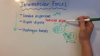 Intermolecular Forces [upl. by Niram216]