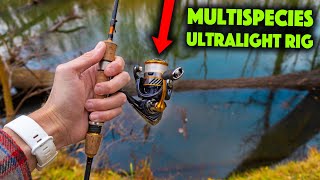 All Ultralight Anglers NEED To Use This Rig [upl. by Anyaj]