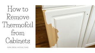 How to Remove Thermofoil From Cabinets [upl. by Darcy]