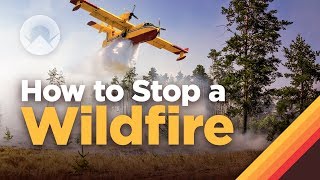 How Fighting Wildfires Works [upl. by Partan]