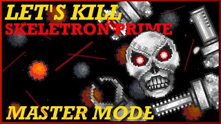 How to EASILY Beat MASTER MODE Skeletron Prime in Terraria 14 [upl. by Zailer]