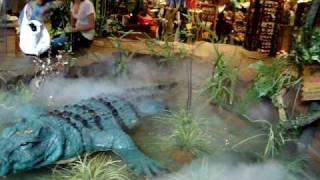 Rainforest Cafe  Dallas TX [upl. by Solram]