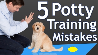 The 5 Most Common Potty Training Mistakes [upl. by Ssepmet578]