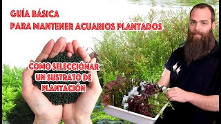 Guía básica para mantener acuarios 🌿plantados ☘️ SUSTRATOS NUTRITiVOS [upl. by Stacy263]