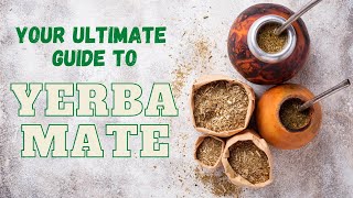 Your Ultimate Guide to Yerba Mate [upl. by Meelas]