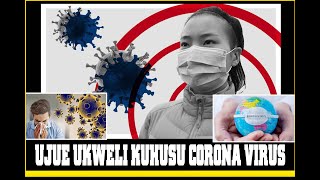 THE STORY BOOK Ukweli Muhimu Zaidi Kuhusu Corona [upl. by Acinomal]