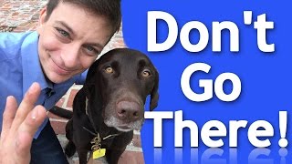 How to EFFECTIVELY Teach your Dog Boundaries [upl. by Nomma]