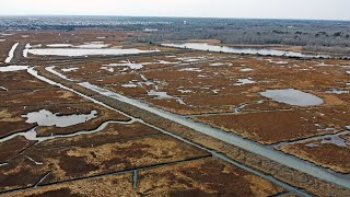 Manahawkin Wildlife Management Area [upl. by Edia]