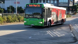 Buses at Helensvale [upl. by Nylanaj113]