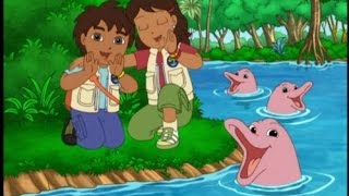 Go Diego Go  Diego Saves the River Dolphin [upl. by Antonina279]