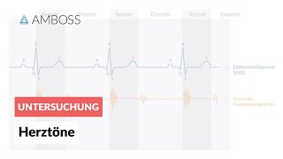 Physiologische Herztöne  AMBOSS  Video [upl. by Oilla904]