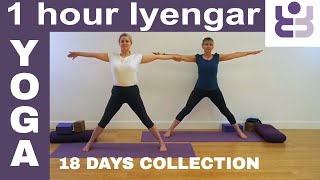 One Hour Iyengar Yoga Class  18 Days of Yoga Collection [upl. by Anoirtac]