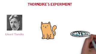 Thorndikes Experiment [upl. by Weisman874]