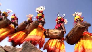 Gond tribal dance of Central India [upl. by Mungovan]