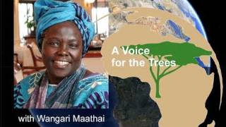 A Voice for Trees by Wangari Maathai [upl. by Moraj380]