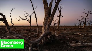 The Vanishing Water of the MurrayDarling Basin [upl. by Nosidam918]