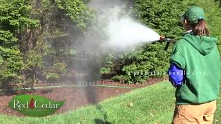 Horticultural Oil Spraying [upl. by Lashond]