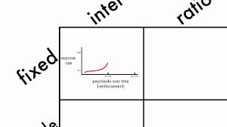 Learning Schedules of Reinforcement [upl. by Daeriam]