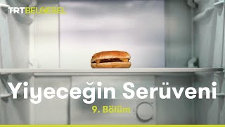 Yiyeceğin Serüveni  Dondurulmuş Gıdalar  TRT Belgesel [upl. by Edurtreg]