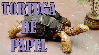 Tortuga de papel [upl. by Yeldoow761]