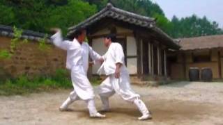 Taekkyeon a traditional Korean martial art [upl. by Cynar992]