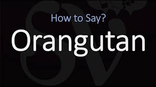 How to Pronounce Orangutan CORRECTLY [upl. by Heer]