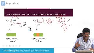 Neutrophils Mnemonic for USMLE [upl. by Werda]