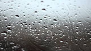 Rainy Day Background Video  No Sound [upl. by Adnalue662]