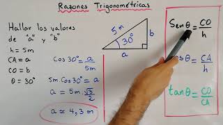 Ejercicio de Razones Trigonométricas  Trigonometría [upl. by Annuaerb617]