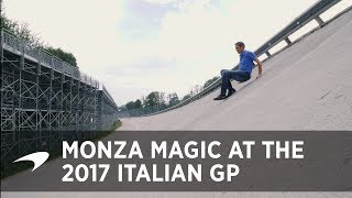 Monza Magic  Explore Italys famous F1 circuit [upl. by Llerehs]