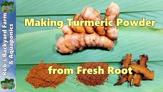 How to Make Turmeric Powder from Fresh Home Grown Root [upl. by Erlene701]