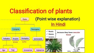 Classification of plants in Hindi  Cryptogam and Phanerogam plantclassification [upl. by Aderb952]