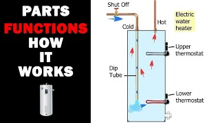 How an Electric Water Heater Works [upl. by Ttirb760]