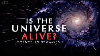 The Living Universe  Documentary about Consciousness and Reality  Waking Cosmos [upl. by Tingey]