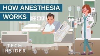 Basics of Anesthesia  An introduction to Anesthesiology [upl. by Meridith]