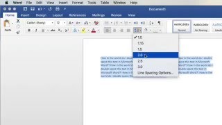 How To Double Space in Microsoft Word [upl. by Thatcher]