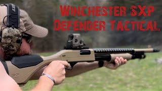 Winchester SXP Defender [upl. by Kassia448]