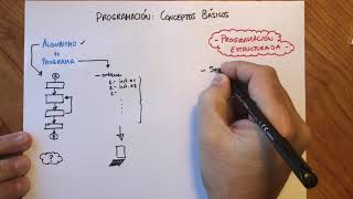 Programación Conceptos Básicos [upl. by Tonnie]