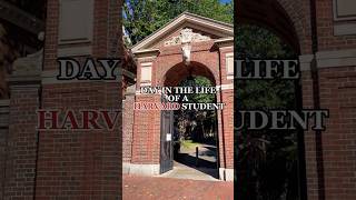 Day In The Life of a Harvard Student [upl. by Cassella]