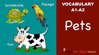 Learn German  German Vocabulary  Haustiere  Pets  A1 [upl. by Sutton]