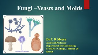 Fungi  Yeast and Molds  Dr C R Meera [upl. by Straub]