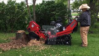 Barreto 30SG Stump Grinder [upl. by Irtimed]