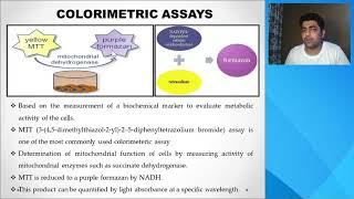 Cell Viability and Cytotoxicity [upl. by Ynnep]