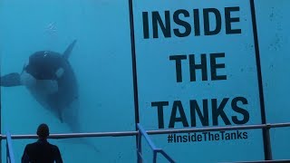 Inside The Tanks Full Documentary [upl. by Tamsky]