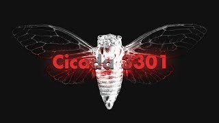 Cicada 3301 An Internet Mystery [upl. by Bergen]