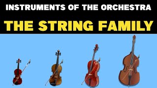 INSTRUMENT OF THE ORCHESTRA THE STRING FAMILY [upl. by Einimod]